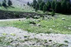 2005-Frankreich-Tag-042