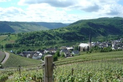 2008-Vogesen-7-Tag-a