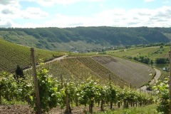 2008-Vogesen-7-Tag-b