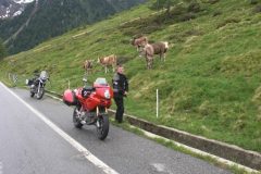 2009-Tirol-Schweiz-4-Tag-dd