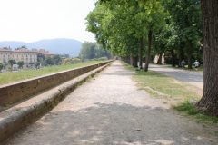 2010-Toskana-4.Tag-c3