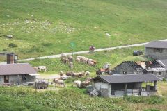 2011-Tirol-4.Tag-3e