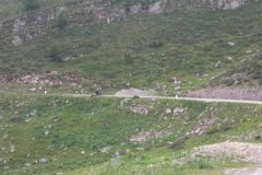 2011-Tirol-4.Tag-4g