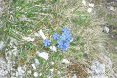 2012-Mittenwald-Gardasee-2.-Tag-c7