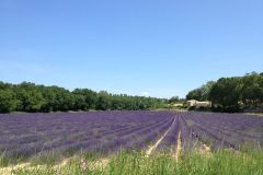 2013-Frankreich-5db