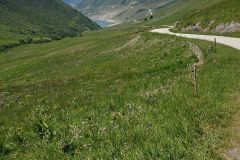 2013-Frankreich-6dk